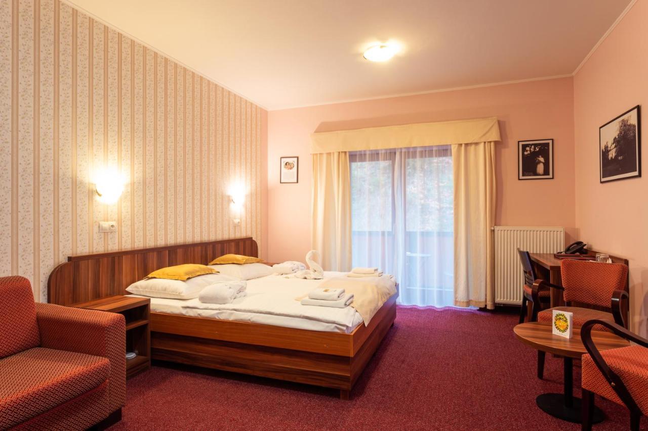 Hotel Studanka Rychnov nad Kneznou Exterior foto